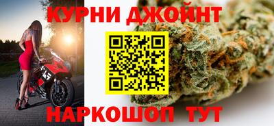гашик Кулебаки