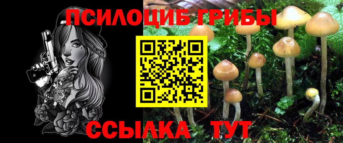 Галлюциногенные грибы MAGIC MUSHROOMS Королёв