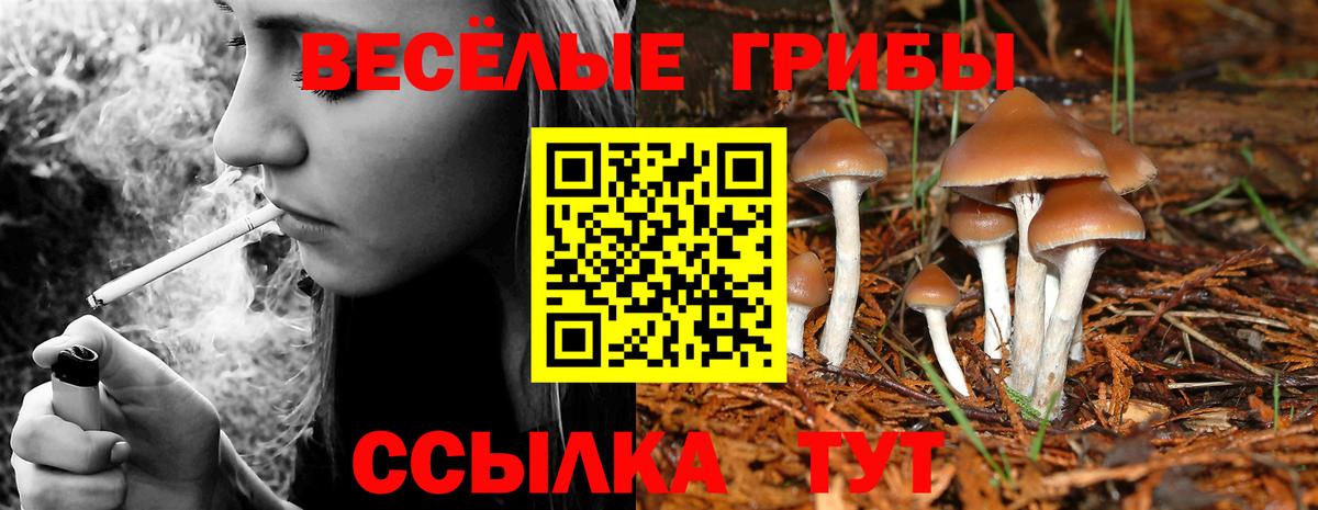 Галлюциногенные грибы мухоморы  Вход с VPN  Псилоцибиновые грибы прущие грибы  Королёв 